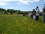 Visite du prés salé de Château-Salins ©csl/A.Diss