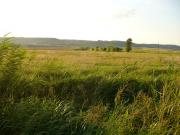 Secteur de nidification ©pnrl/J.Dao