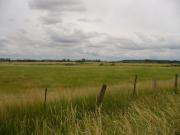 Secteur de nidification ©pnrl/J.Dao